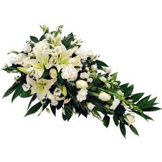 Pure &amp; Simple Single-Ended Spray