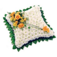 Traditional Based Cushion