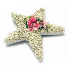 Floral Five Point Star