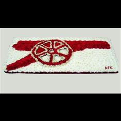 Arsenal cannon